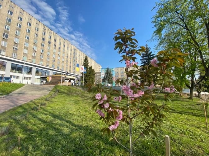 Фото: Places.in.ua