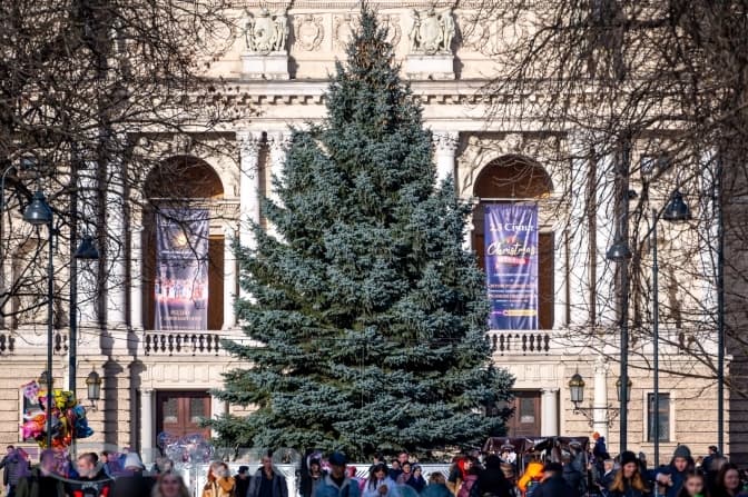 Фото: Твоє місто