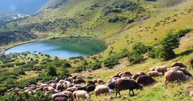 Біля «Буковелю» зведуть ще два курорти, які розміром відповідатимуть половині Ужгорода