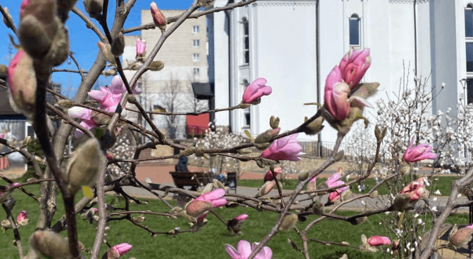 фото умовне/ любомир зубач