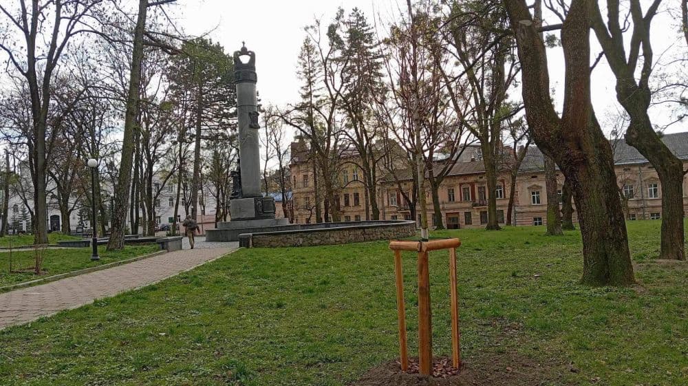 У львівському сквері висадили вісім дерев