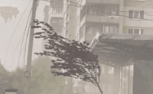 скриншот з відео