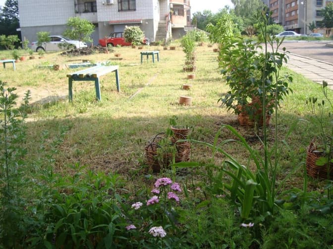 У Львові нагородили власників найгарніших двориків міста. Фото