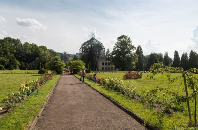 фото: сторінка Ботанічного саду ЛНУ ім. І.Франка у мережі Facebook