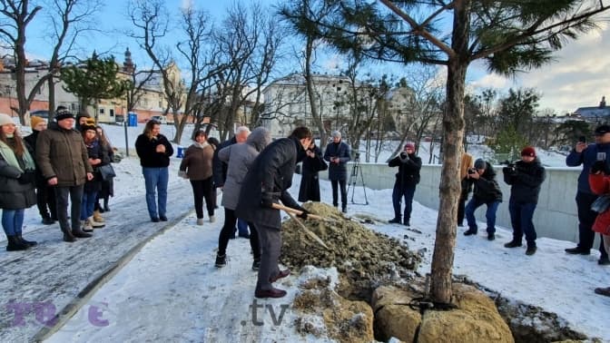 фото дар'ї кучер