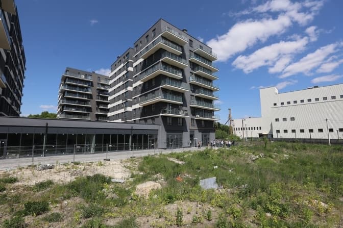 У Львові обіцяють зберегти озеро на Замарстинівській та нові графіки відключення світла. Підсумки доби