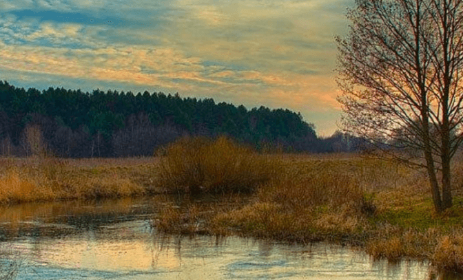 На Київщині з‘явиться знаковий ландшафтний заказник «Ріка-Герой Ірпінь»