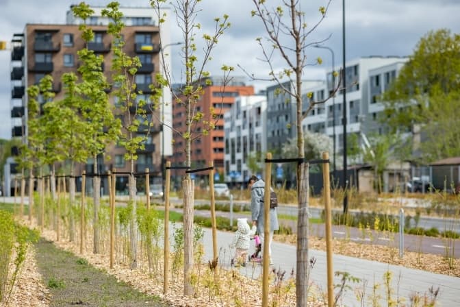 Фото: озеленення вулиць у Вільнюсі