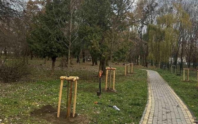 У трьох парках Львова висадили понад сорок дерев