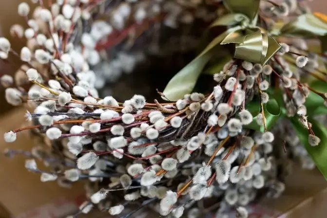 Якою буде погода у Львові на Вербну неділю. Прогноз на 5 квітня