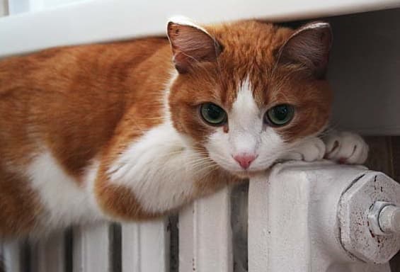 Від завтра у Львові можуть призупинити опалювальний сезон