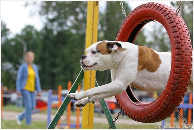 фото: marta-club.ru