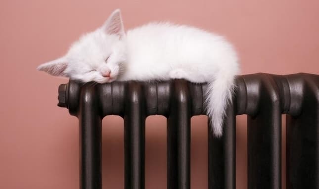 Фото Gettyphotos