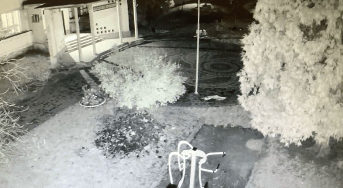 Мешканці Львівщини зняли зі флагштока державний прапор та намагалися підпалити