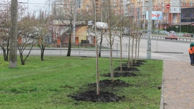 У Києві триває весняний двомісячник благоустрою