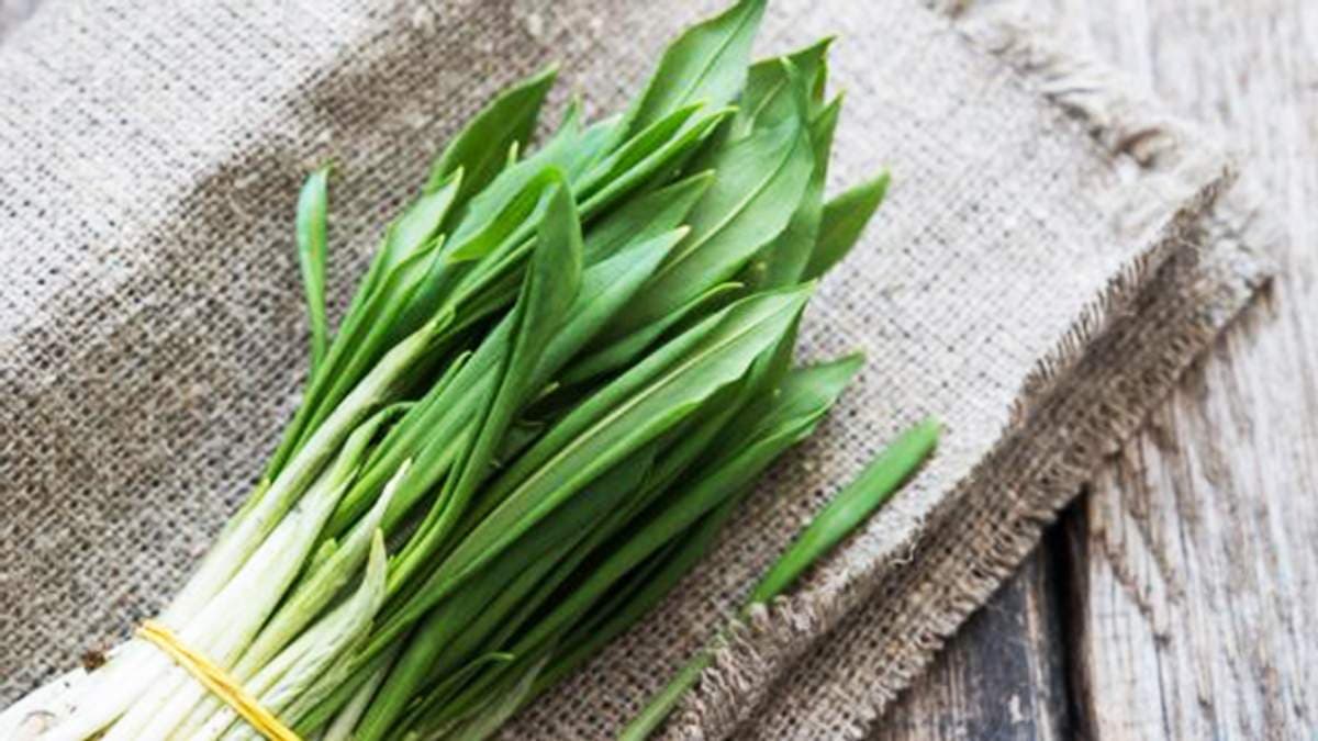 Фото з відкритих джерел