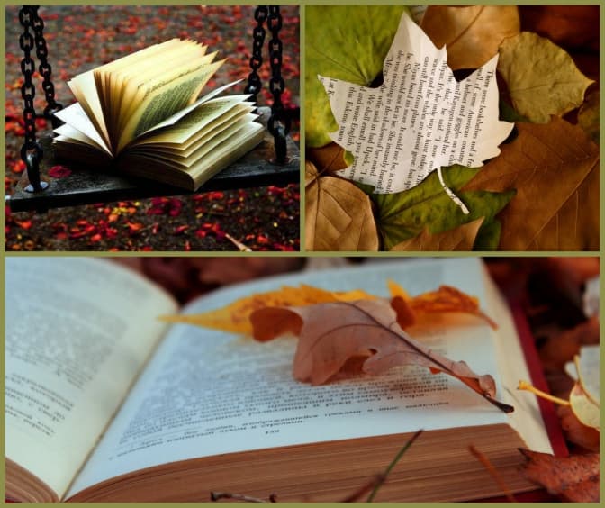 Топ-5 теплих книг для осіннього читання
