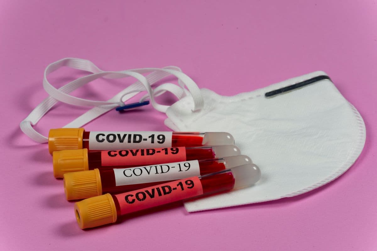 Фото: freepik.com