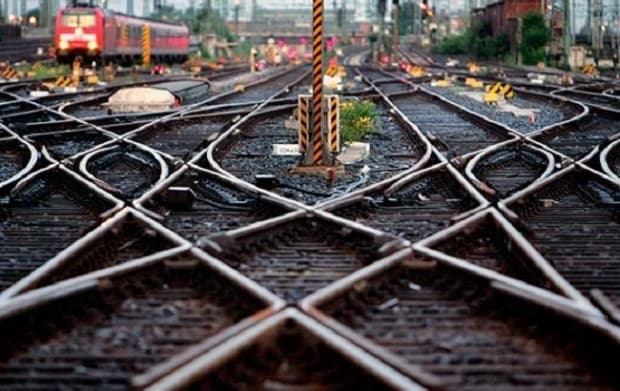 Фото: agropolit.com