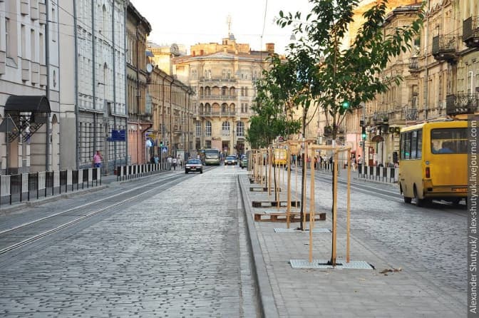 Актори театру Лесі Українки доглядатимуть за японськими вишнями на Городоцькій