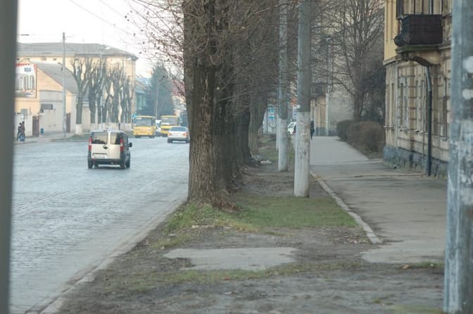 У Львові на вулиці Городоцькій зріжуть 20 дерев