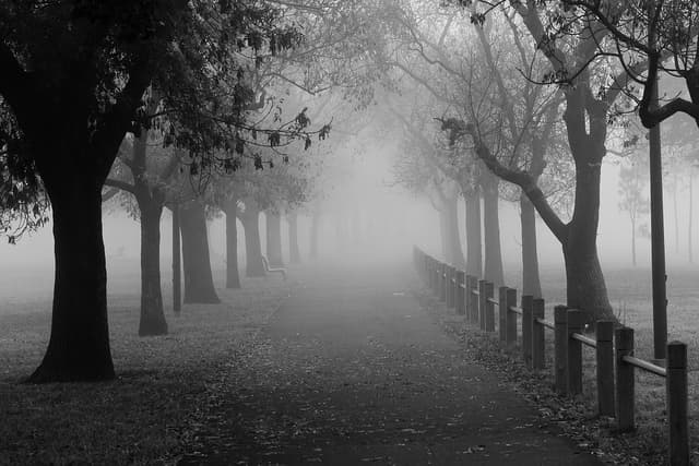 В четвер у Львові хмарна погода