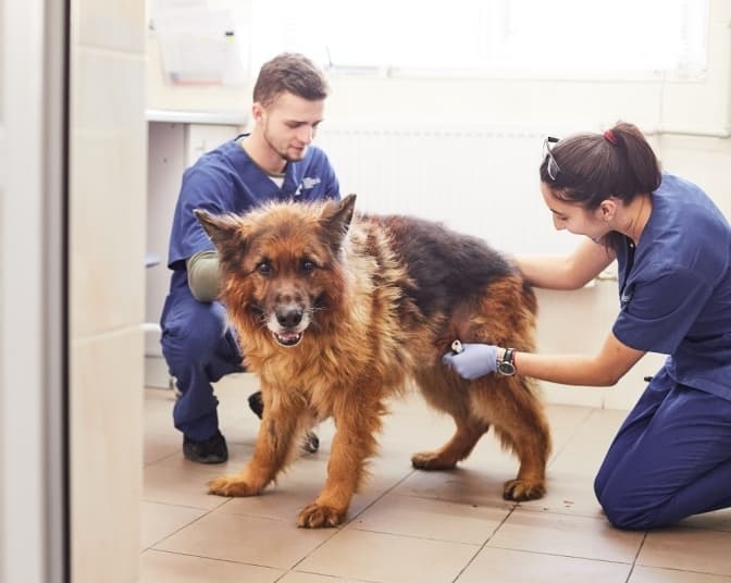 Фото: ЛКП ЛЕВ