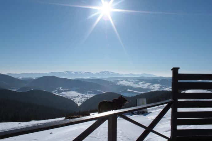 На свята в Карпатах майже не залишилось вільних місць. Ціни на відпочинок (ОНОВЛЕНО)