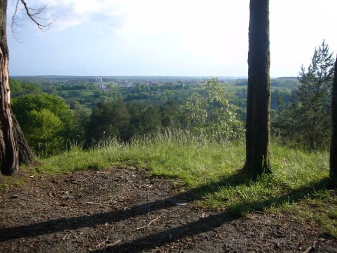 Львів'ян закликають випробувати лісові веломаршрути. Фото