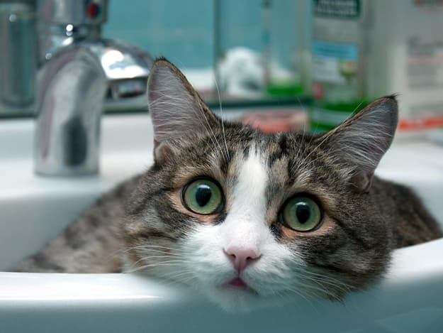 фото: Львівський портал