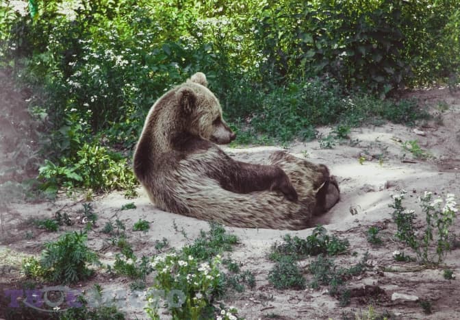 Фото: Катерини Хорощак