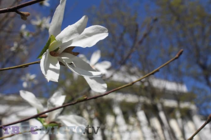 Фото: Вікторія Ейсмунт