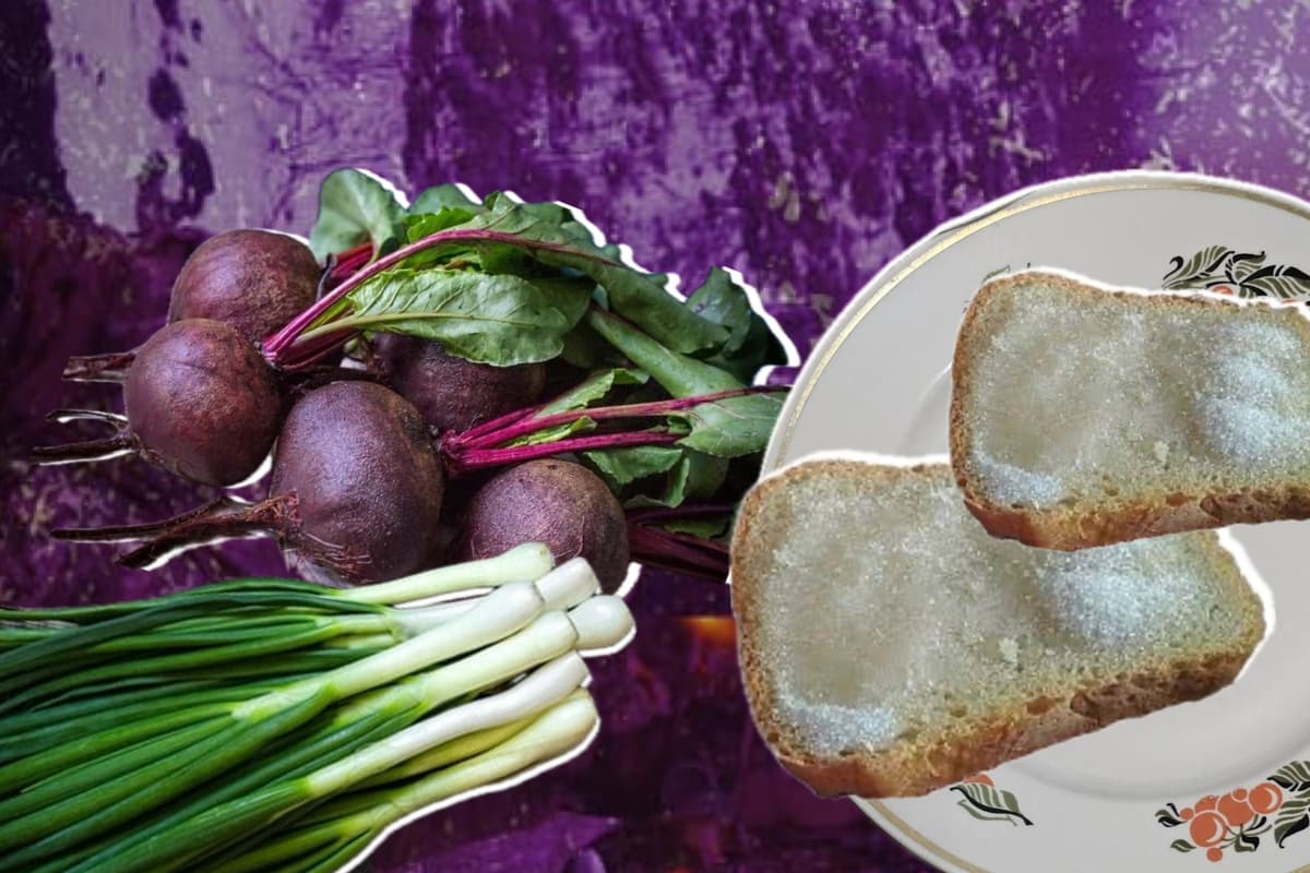 «У нас є все, навіщо ностальгувати за хлібом з цукром»