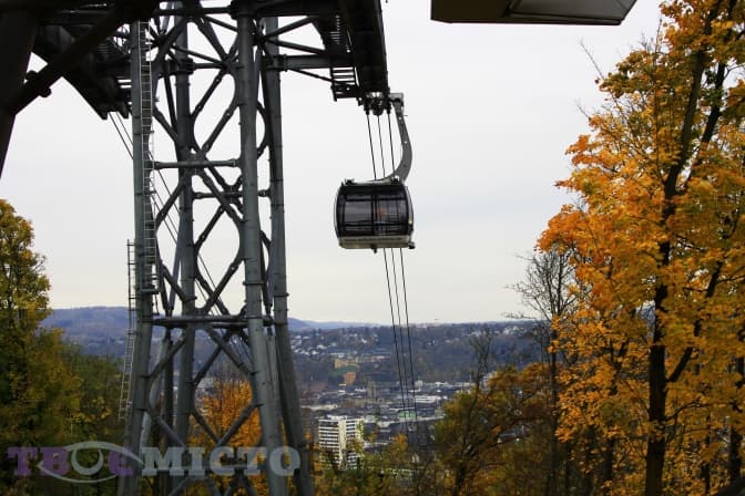 Фото: Вікторія Ейсмунт