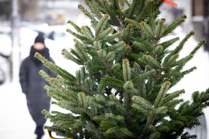 У Києві працюватимуть 150 офіційних ялинкових ярмарків. Адреси