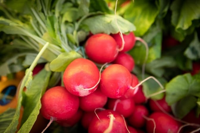 У Києві цього тижня пройдуть продуктові ярмарки: адреси