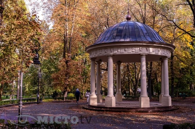 У парках Львова планують висадити понад сотню дерев