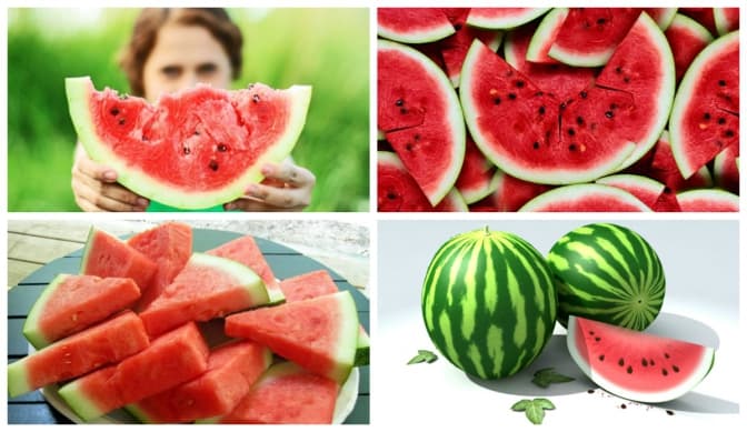 У Львові стартував сезон кавунів та які змії є в області та як розпізнати небезпечних. Підсумки доби