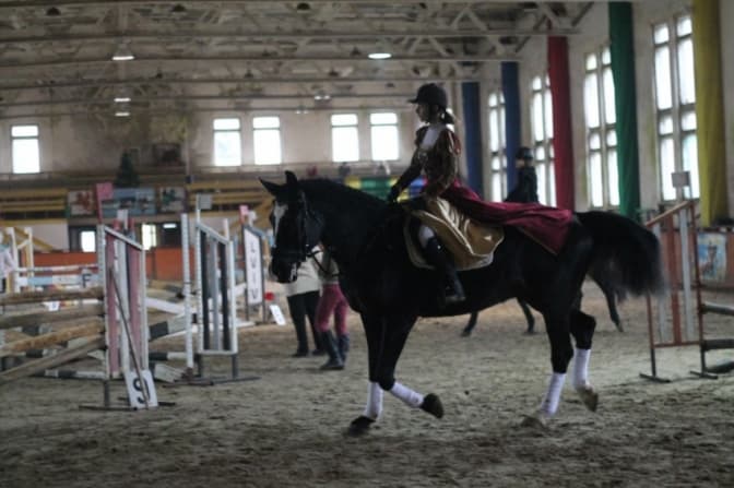 У Львові відбудуться змагання вершників та вертеп на конях. Програма