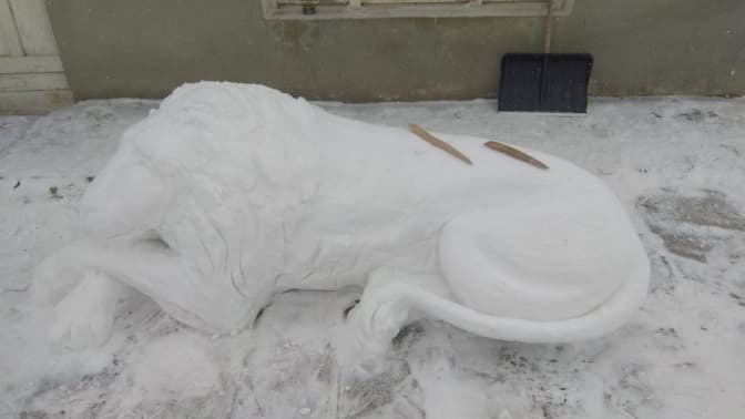 Фото: Володимир Дочич