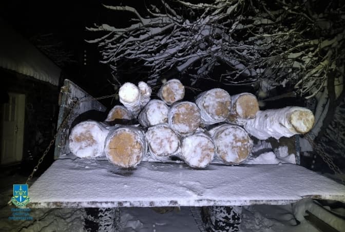 На Львівщині чоловіка засудили до 5 років ув’язнення за вирубку дерев у Нацпарку «Бойківщина»