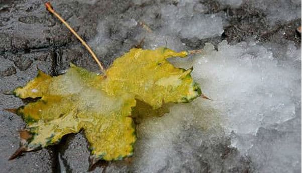 Вже завтра у Львові обіцяють мокрий сніг