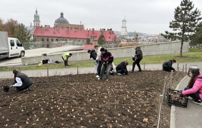 У Львові на ще одній локації висадили тюльпани