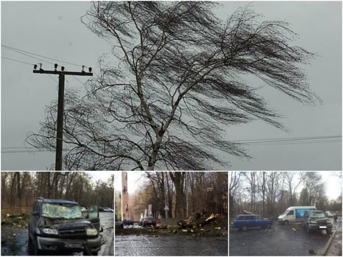 Негода у Львові травмує людей і трощить авта: деталі