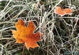 Завтра у Львові синоптики прогнозують мороз