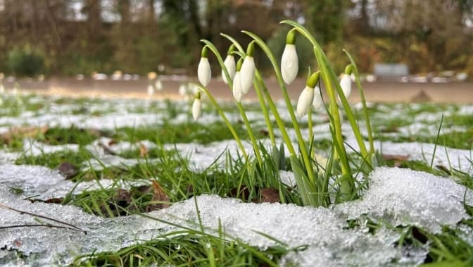 У Львові очікується потепління. Прогноз погоди на тиждень