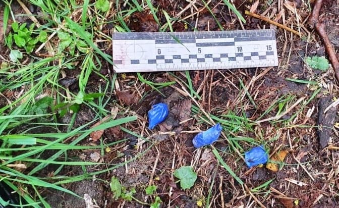 Фото: ГУ Нацполіції у Львівській області