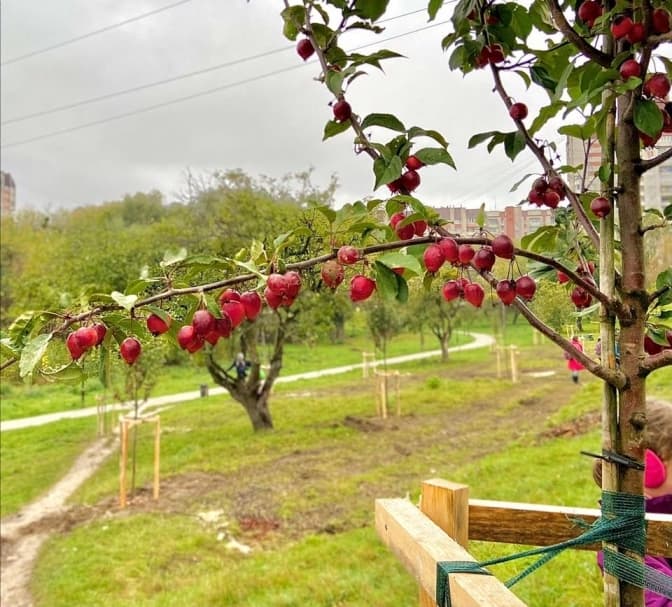 Фото: Олександра Сладкова