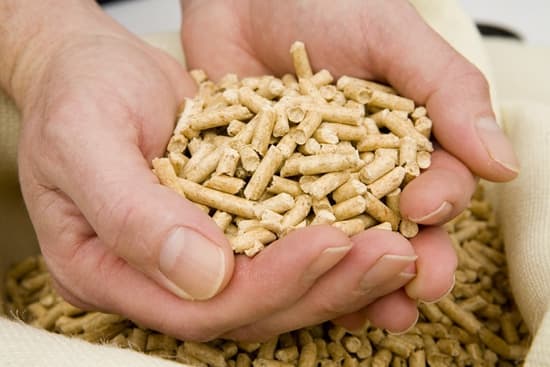 Фото: moesonce.com