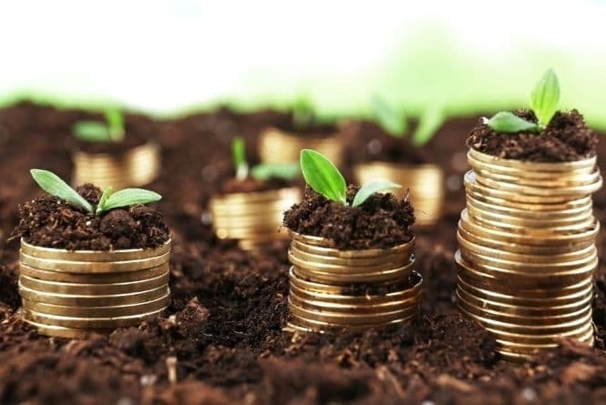 На Львівщині незаконно дозволили приватизувати землі вартістю 4 млн грн